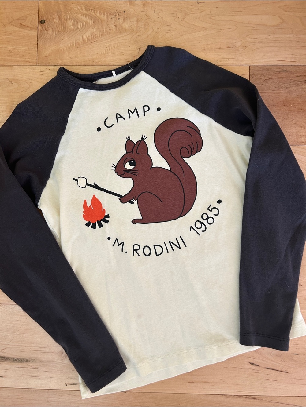 🌱Mini Rodini Camp Rodini LS Tee
